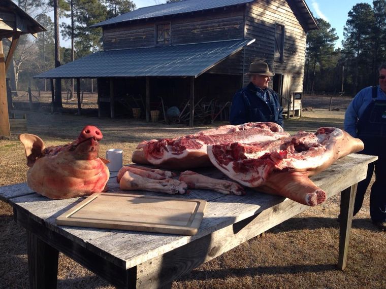 A dressed hog laid out on a plank table in the farm yard during a hog killing, two men standing behind it.