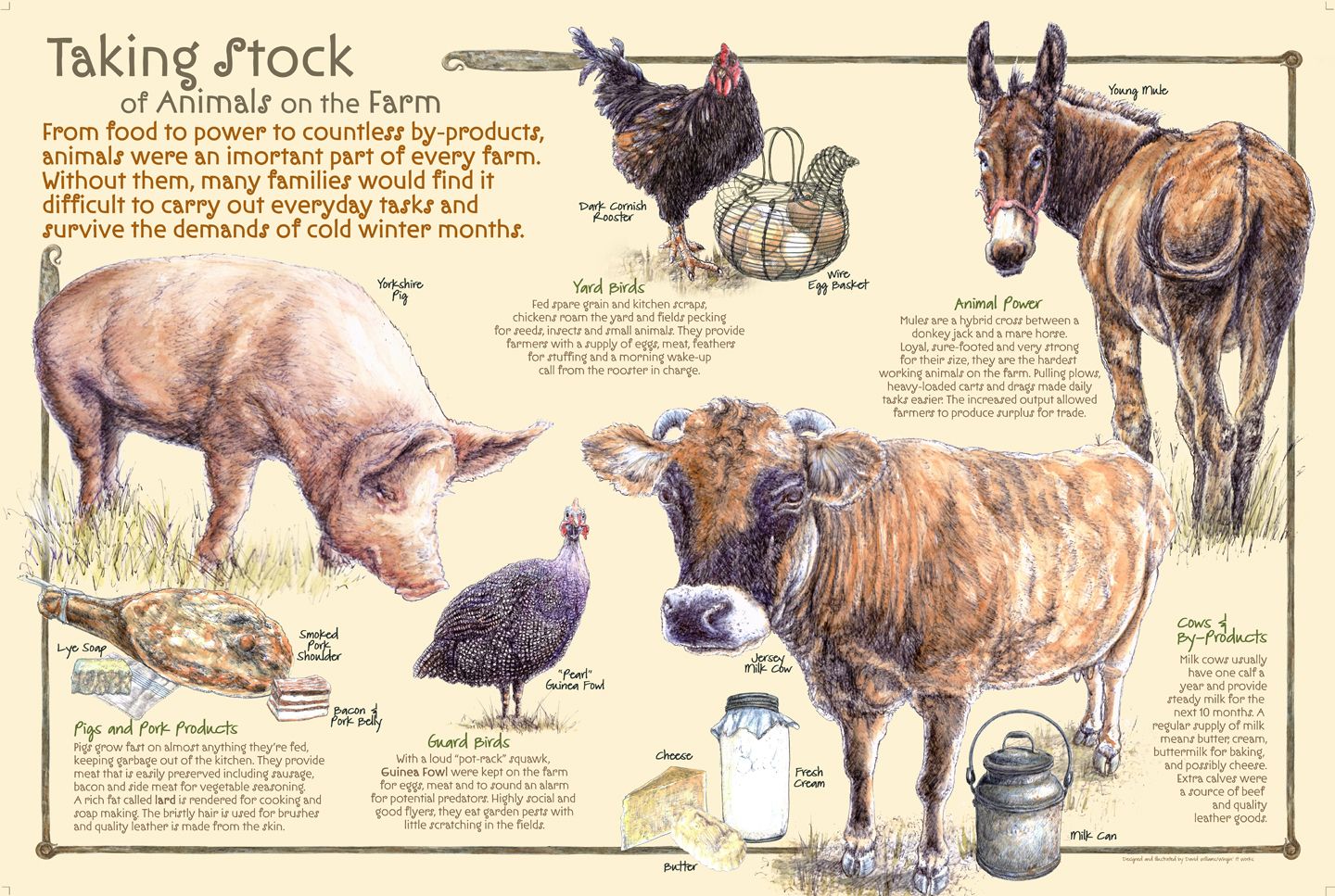 Illustrated interpretive panel, Taking Stock of Animals on the Farm, with drawings of a Yorkshire pig, a Dark Cornish rooster, a young mule, a Jersey milk cow and a guinea fowl, alongside cured pork, butter, cheese and a milk can.